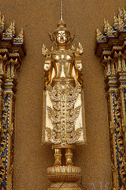 Talin chan-NOV13-096